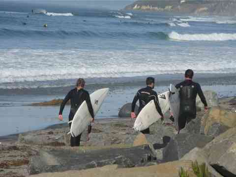 Encinitas-California-Surfers-Cardiff-Beach-San-Diego.jpg