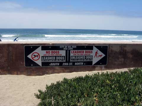 San Diego Dog Beach - Del Mar