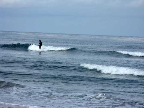 California+beach+surfing