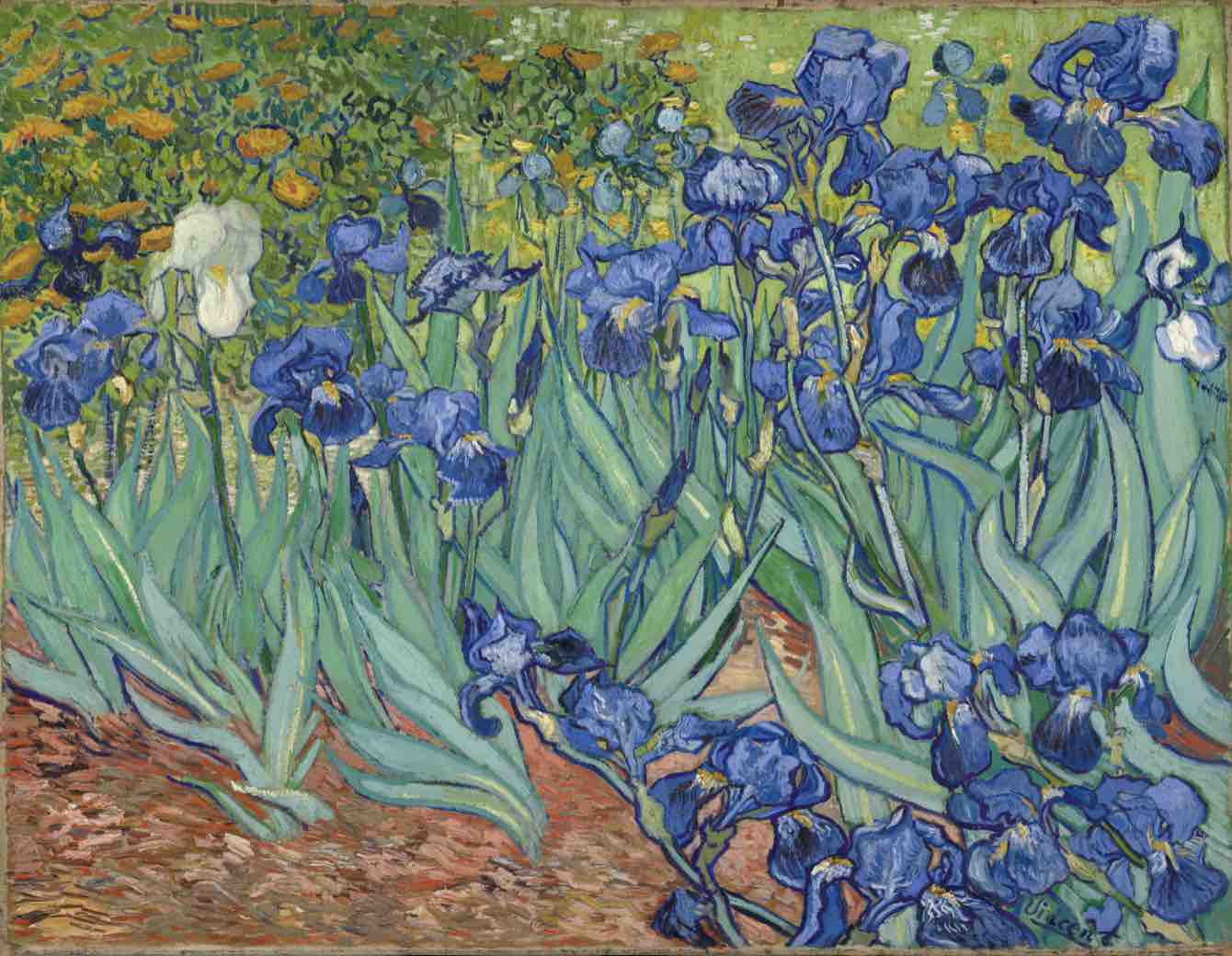 Irises painting at Getty Museum